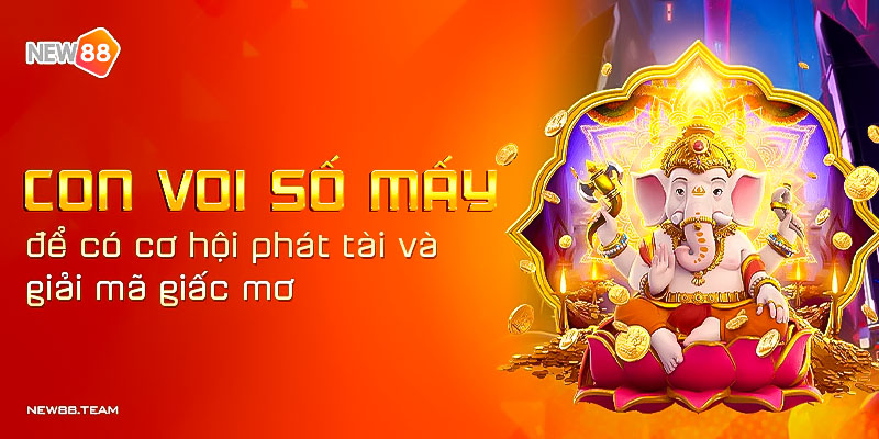 Nằm mơ thấy con voi thì đánh số mấy?