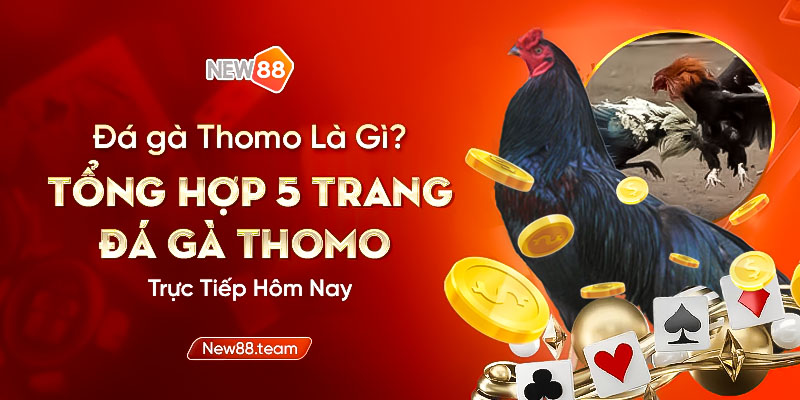 đá gà thomo
